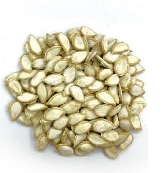 Sangat Tahan Terhadap Layu Fusarium Akut Tembikai Cantuman Stok Akar WG-15